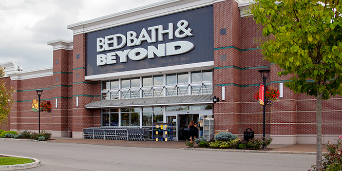 bed bath & beyond in buffalo, ny