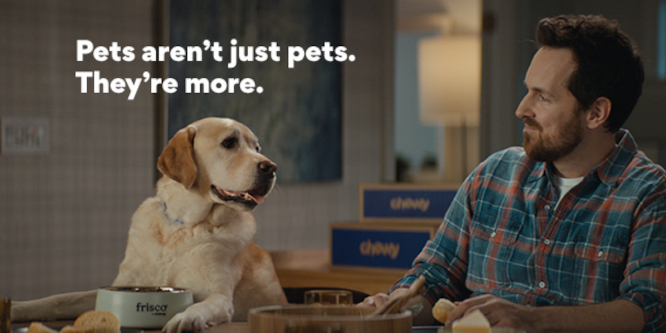 Comical image of dog looking at man with Chewy boxes in the background between them. Text above dog in white says "Pets aren't just pets. They're more."