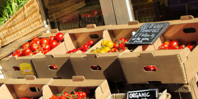 close up of tomatoes and other vegetables in boxes outside of a grocery store