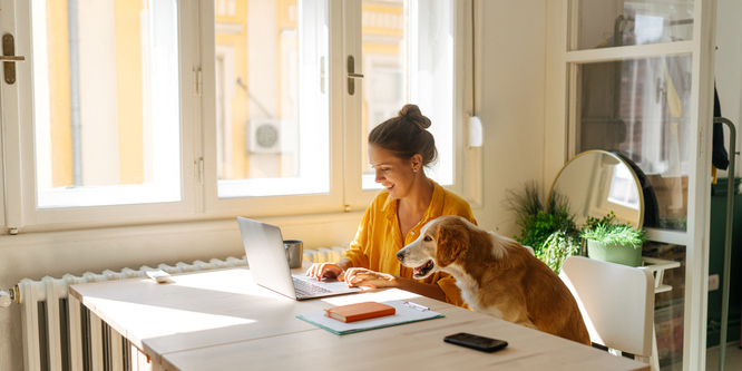 Young woman working on a laptop with a dog next to her also looking at the screen, toast on the table and a smartphone on the table, bright room, large windows in back